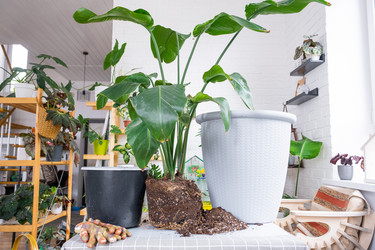 Similar image 21479574