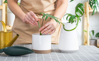 Similar image 21479575