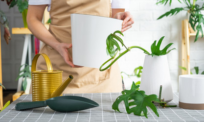 Similar image 21479577