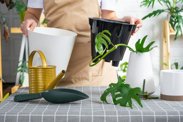 Similar image 21479579