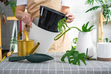 Similar image 21479581