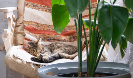 Similar image 21479584