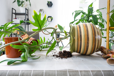 Similar image 21479585