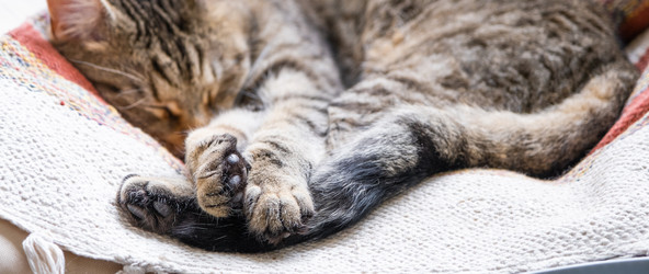 Similar image 21479590