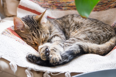 Similar image 21479592