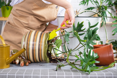 Similar image 21479595