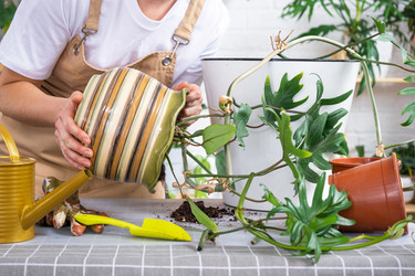 Similar image 21479599