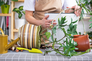 Similar image 21479601