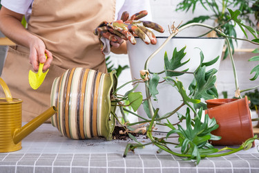 Similar image 21479602