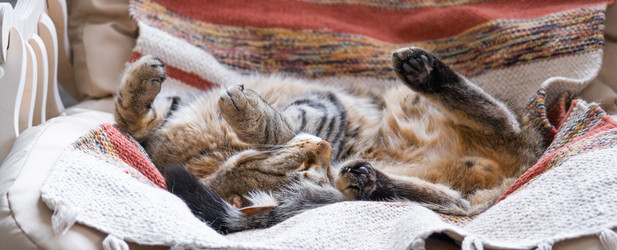 Similar image 21479604