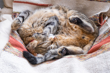 Similar image 21479606