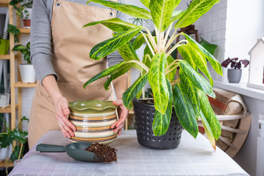 Similar image 21479608