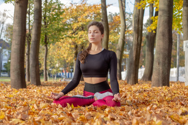 Similar image 21472040