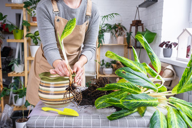 Similar image 21479616