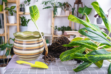 Similar image 21479617