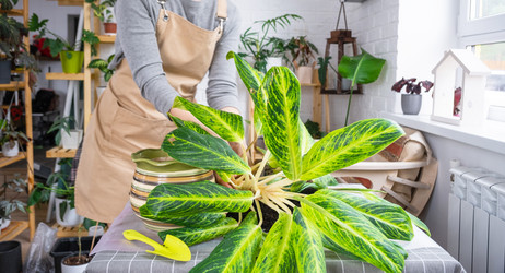 Similar image 21479618