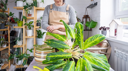 Similar image 21479619