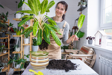 Similar image 21479620