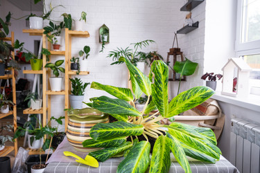 Similar image 21479621