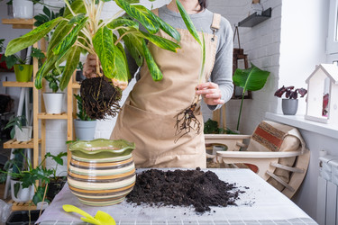 Similar image 21479627