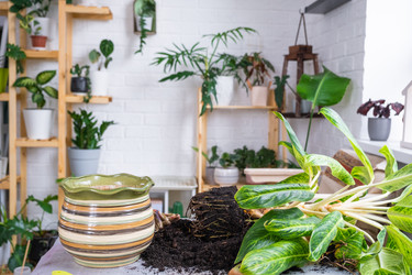 Similar image 21479629