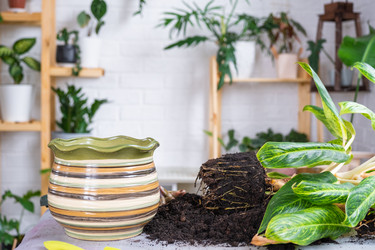 Similar image 21479630