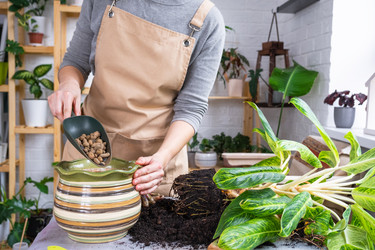 Similar image 21479631