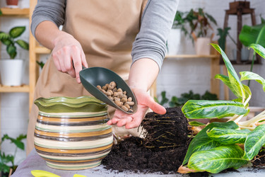 Similar image 21479632