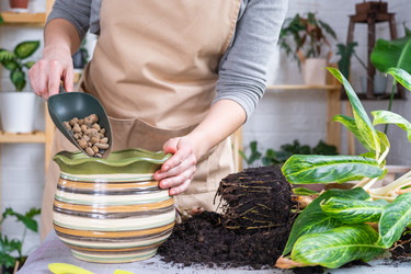 Similar image 21479633