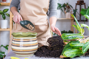 Similar image 21479634