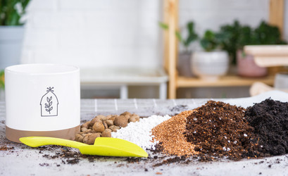 Similar image 21479636