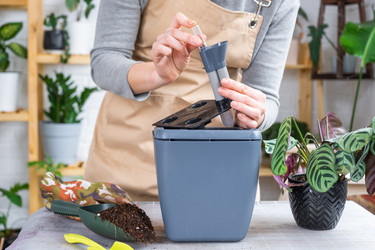 Similar image 21479651