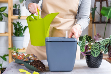 Similar image 21479653