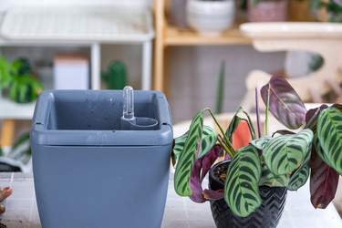 Similar image 21479655