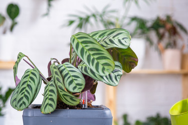 Similar image 21479656