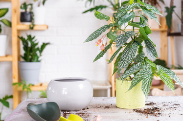 Similar image 21479659