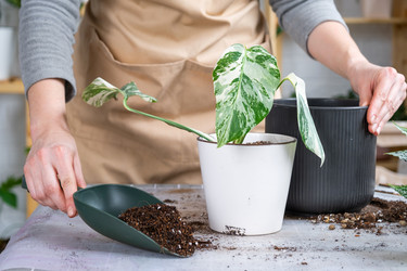 Similar image 21468488