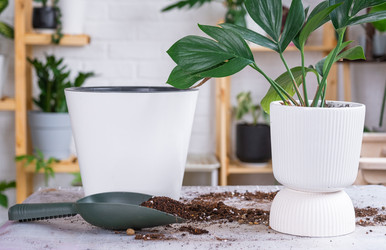 Similar image 21468493