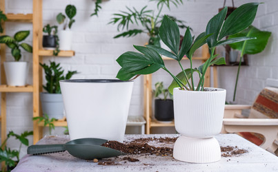 Similar image 21468494