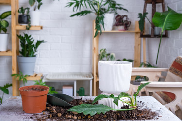 Similar image 21468495