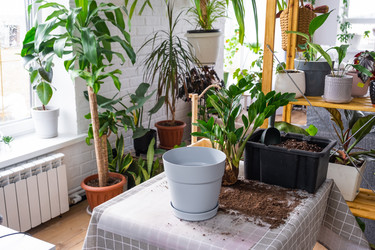 Similar image 21468502