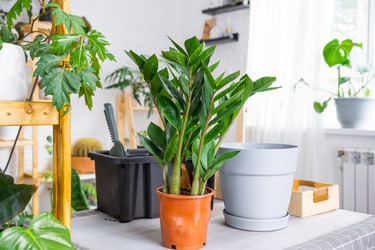 Similar image 21468504