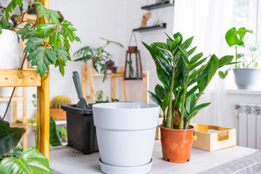 Similar image 21468507