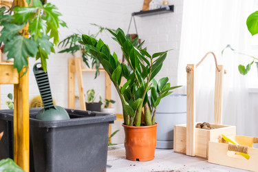 Similar image 21468512