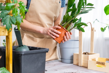 Similar image 21468515