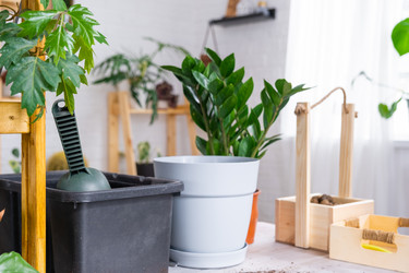 Similar image 21468519