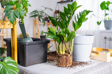 Similar image 21468522