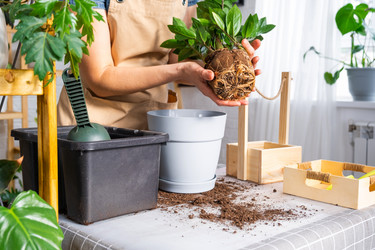 Similar image 21468527