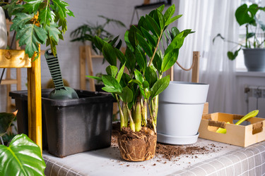 Similar image 21468529