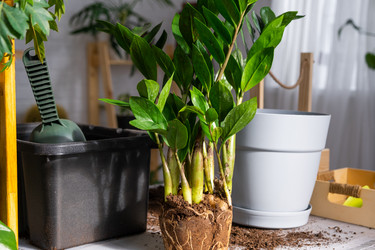 Similar image 21468532